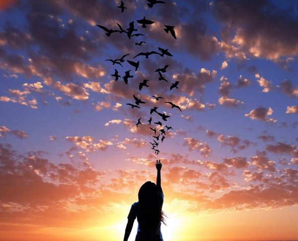 Свобода души