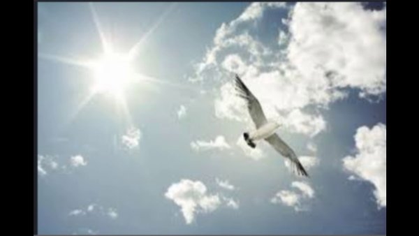 Девушка взлетает