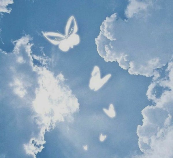 Бабочки на голубом небе