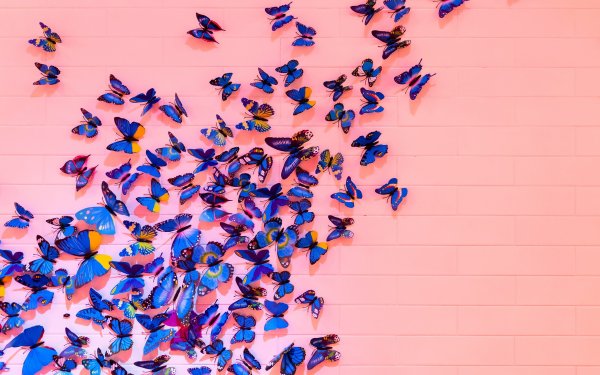 Порхающие бабочки