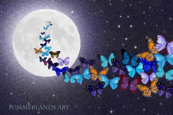 Бирюзовый цвет в природе