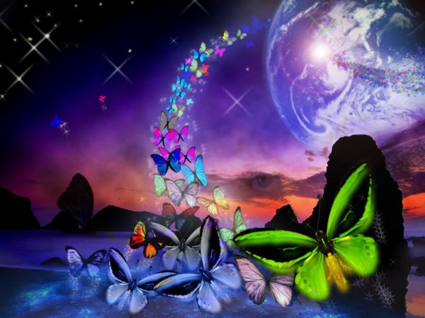 Полет бабочки