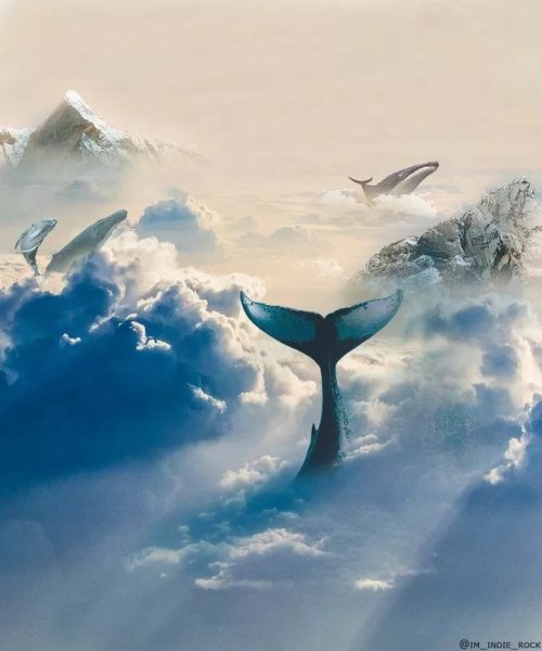 Цифровая живопись Александр Роммель