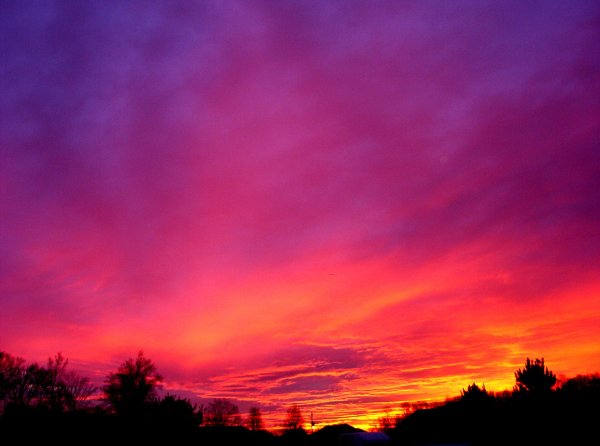 Фиолетовое небо