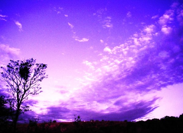 Магическое фиолетовое небо
