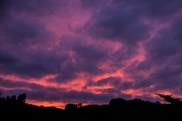 Розовое небо