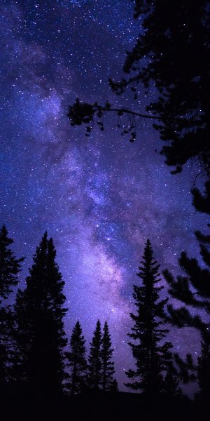 Ночное небо черное