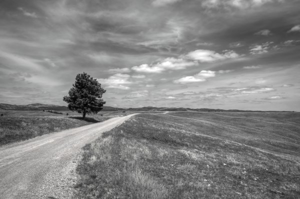 Горизонт фото