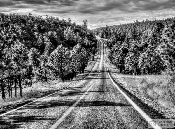 Дорога черно белая