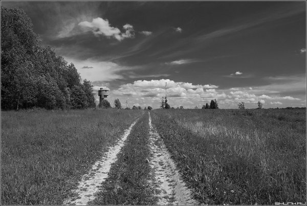 Старое поле