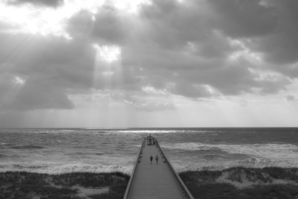 Рай черно белый