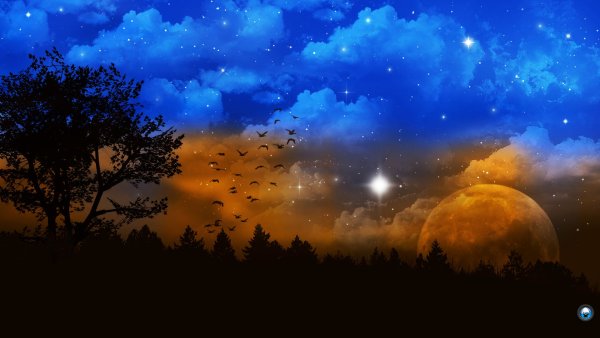 Звездное небо Полярная звезда таймлапс