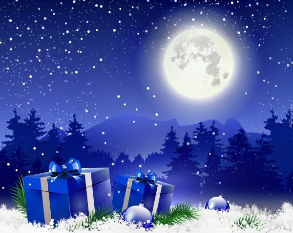 Звездная Новогодняя ночь