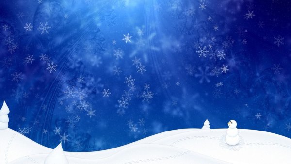 Новогодняя ночь в лесу