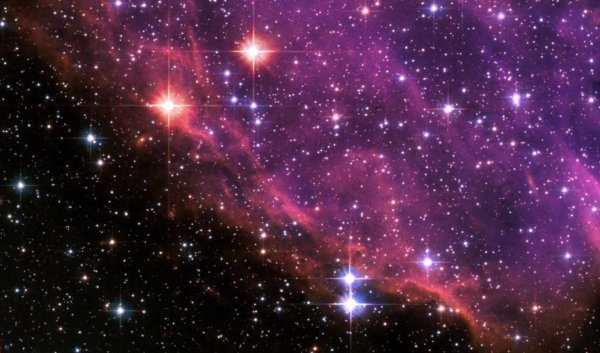 Сладких снов