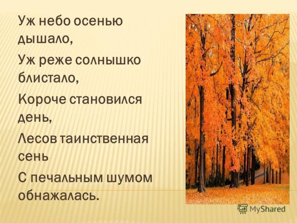 Стихотворение Пушкина уж небо осенью дышало