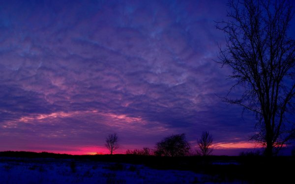 Розовый закат