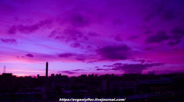 Фиолетовое небо аниме