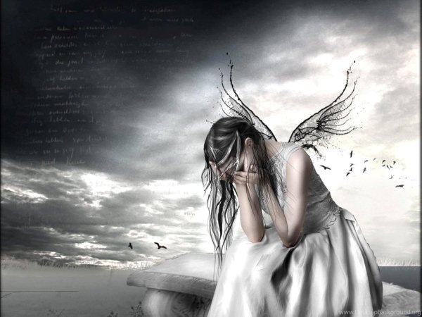 Птицы ночью летают