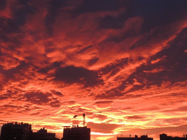 Кровавые небеса