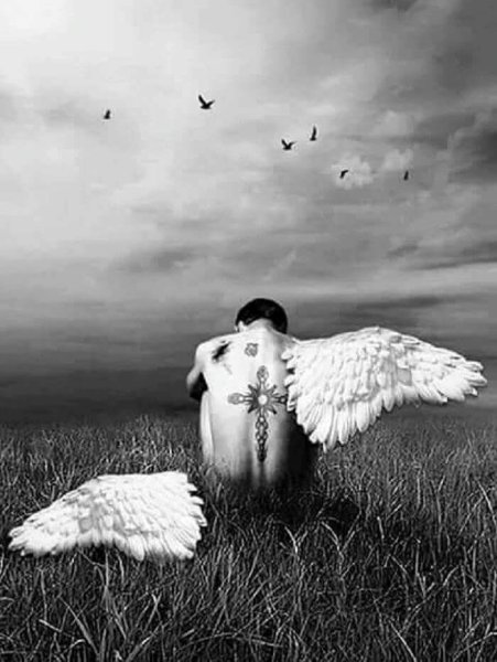 Солнце в облаках