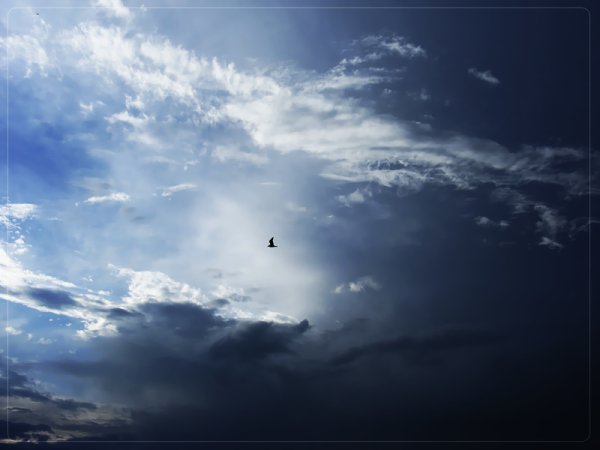 Облака вытянутые