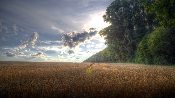 Природа Горизонт