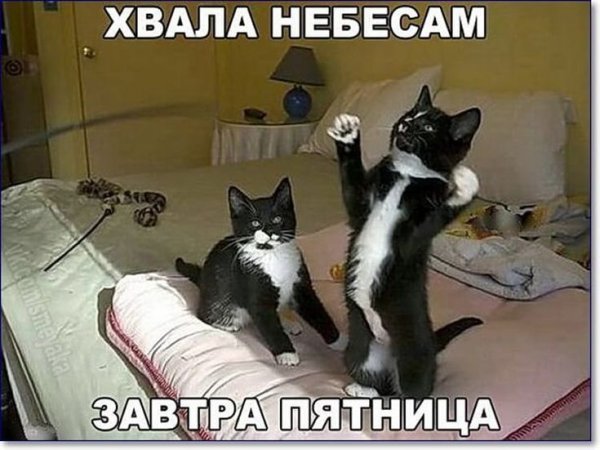 Человек молится Богу