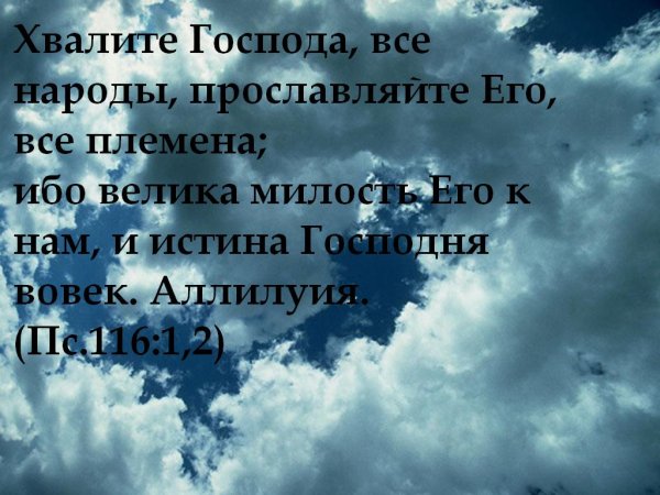 Девушка тянется к солнцу