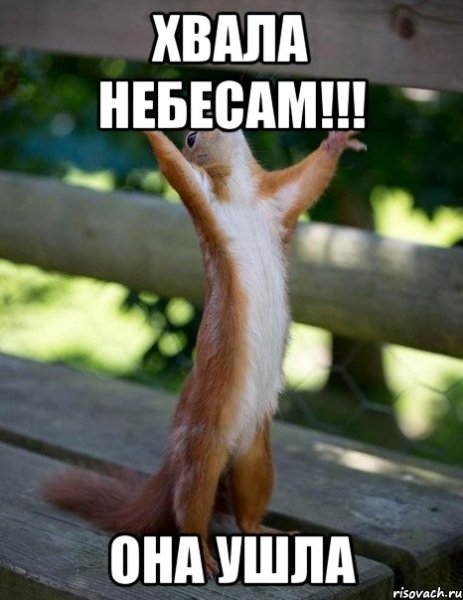 На вершине успеха