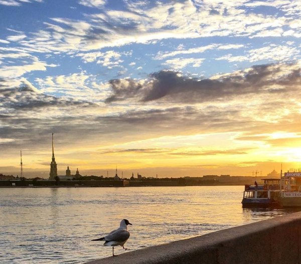 Красивое небо Питера