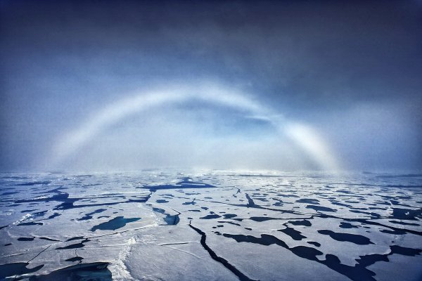 Северный Ледовитый полюс