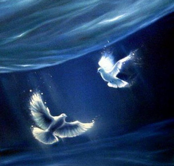 Влюбленные летают