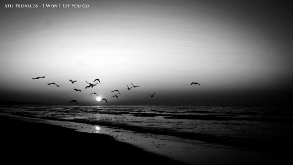 Вороны в небе