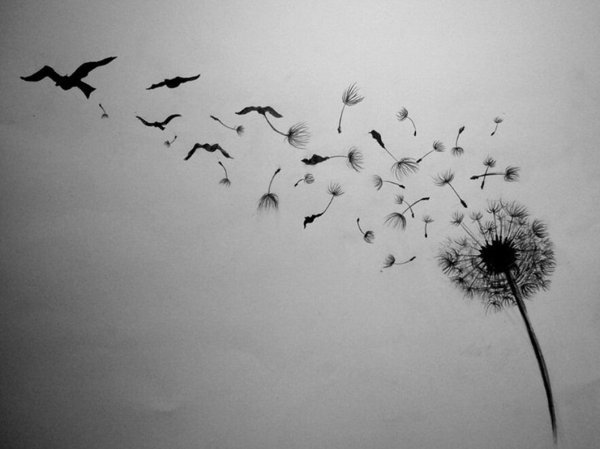 Лес с воронами