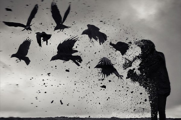 Полет птиц силуэт