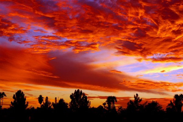 Оранжевый закат