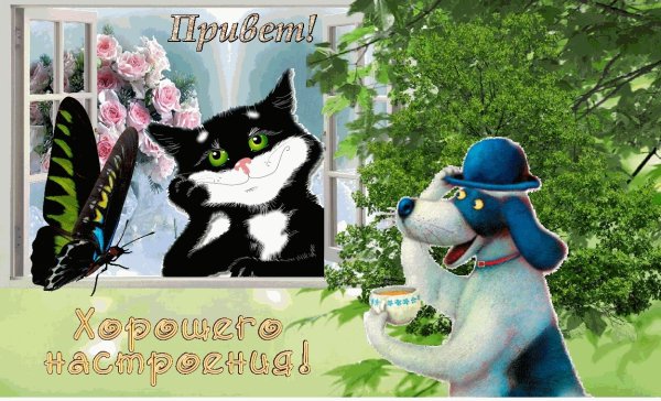 С добрым утром сынок