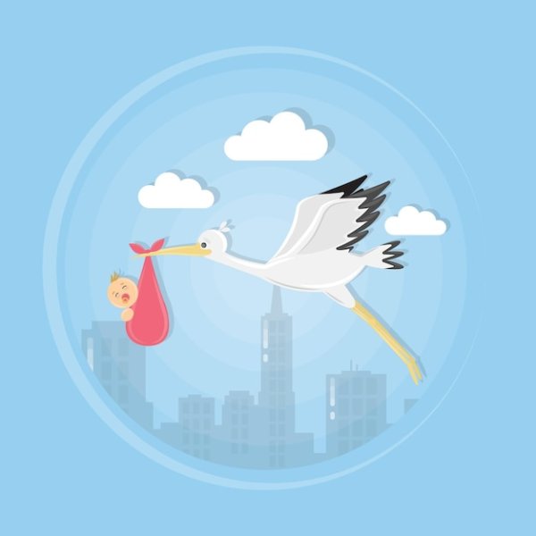 Аист в небе с малышом