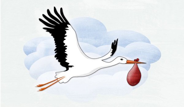 Летящий Аист нарисованный