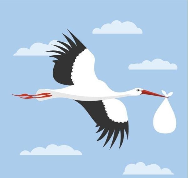 Аист с ребенком