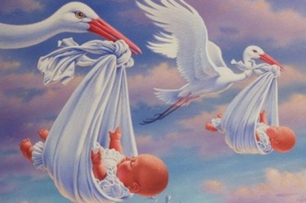 Аист над городом