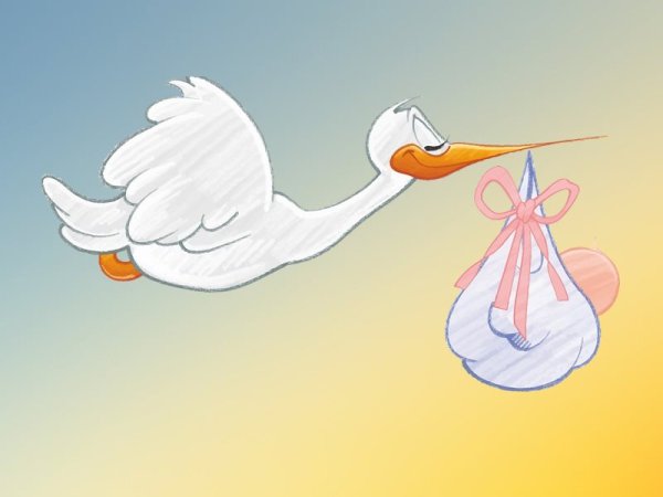 Аист с ребенком