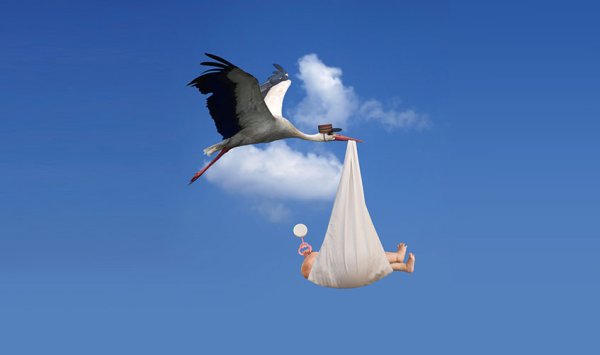 Аист в небе с малышом