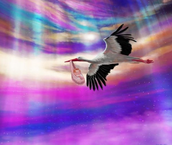 Аист анимация