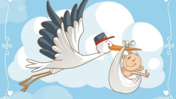 Аист плакат