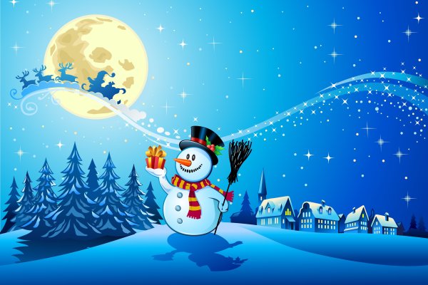 Волшебство новогодней ночи