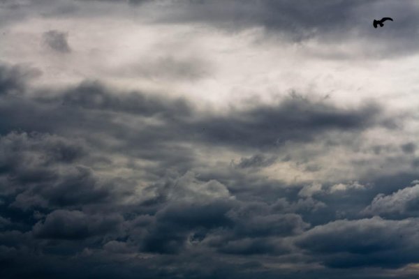 Дымящие трубы заводов