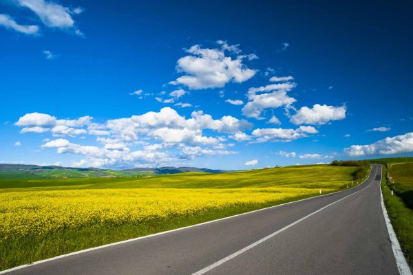 Горизонт природа дорога