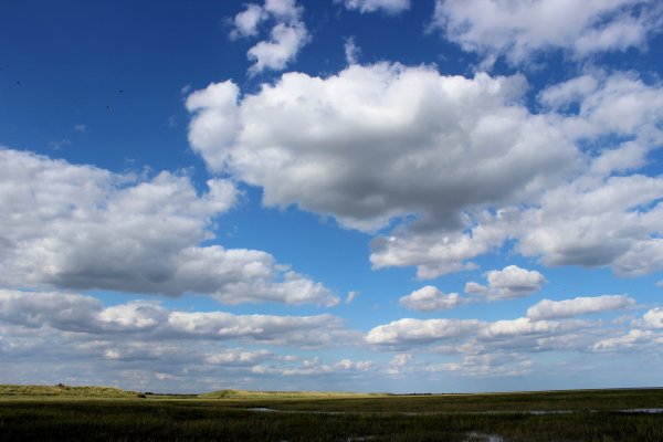 Небо с облаками